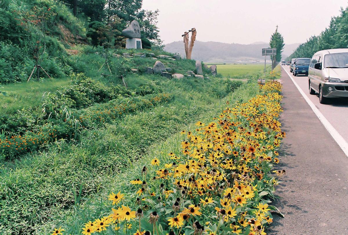 도로조경