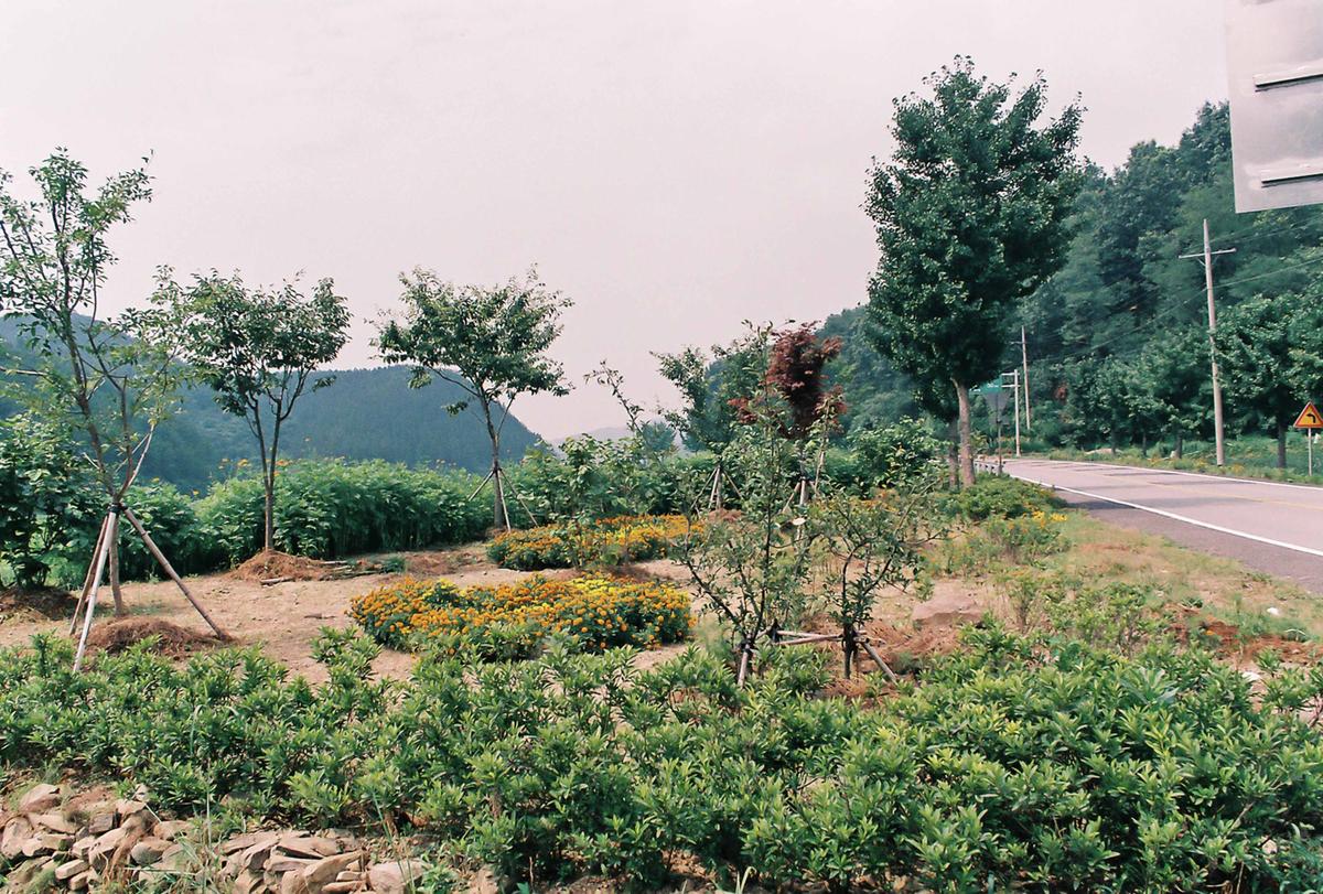 도로조경