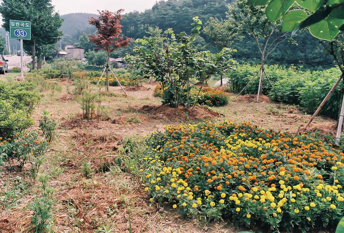 도로조경