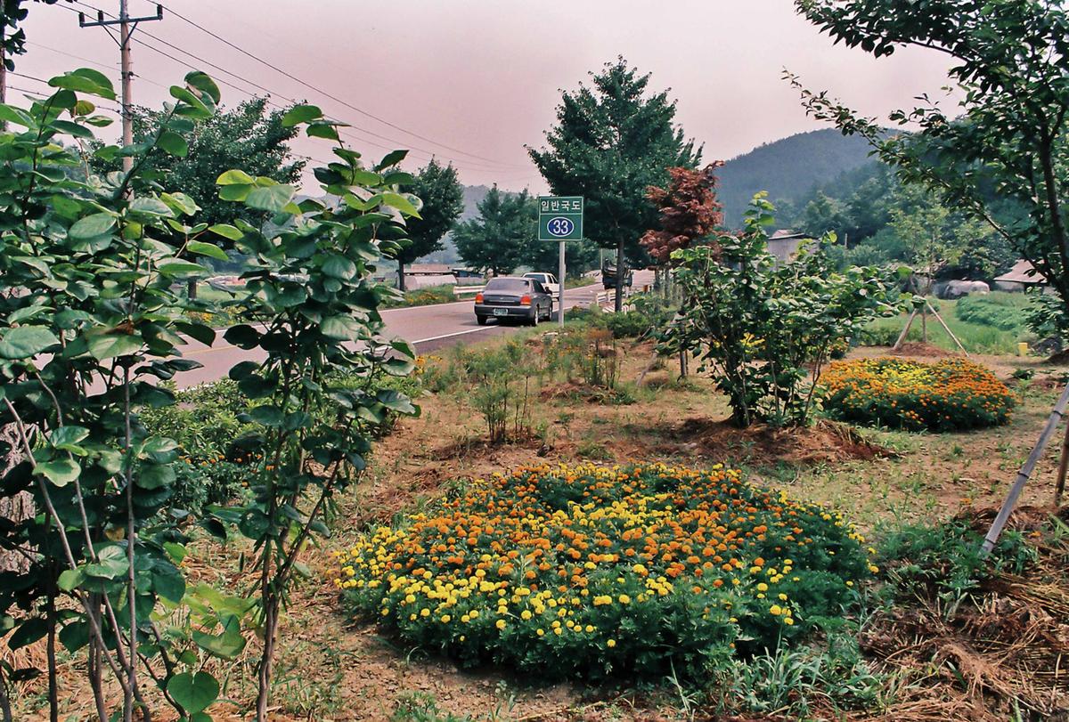 도로조경