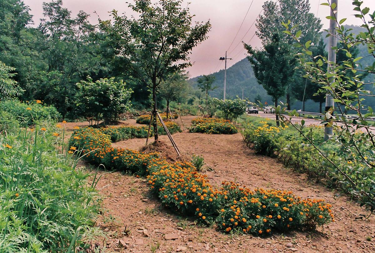 도로조경