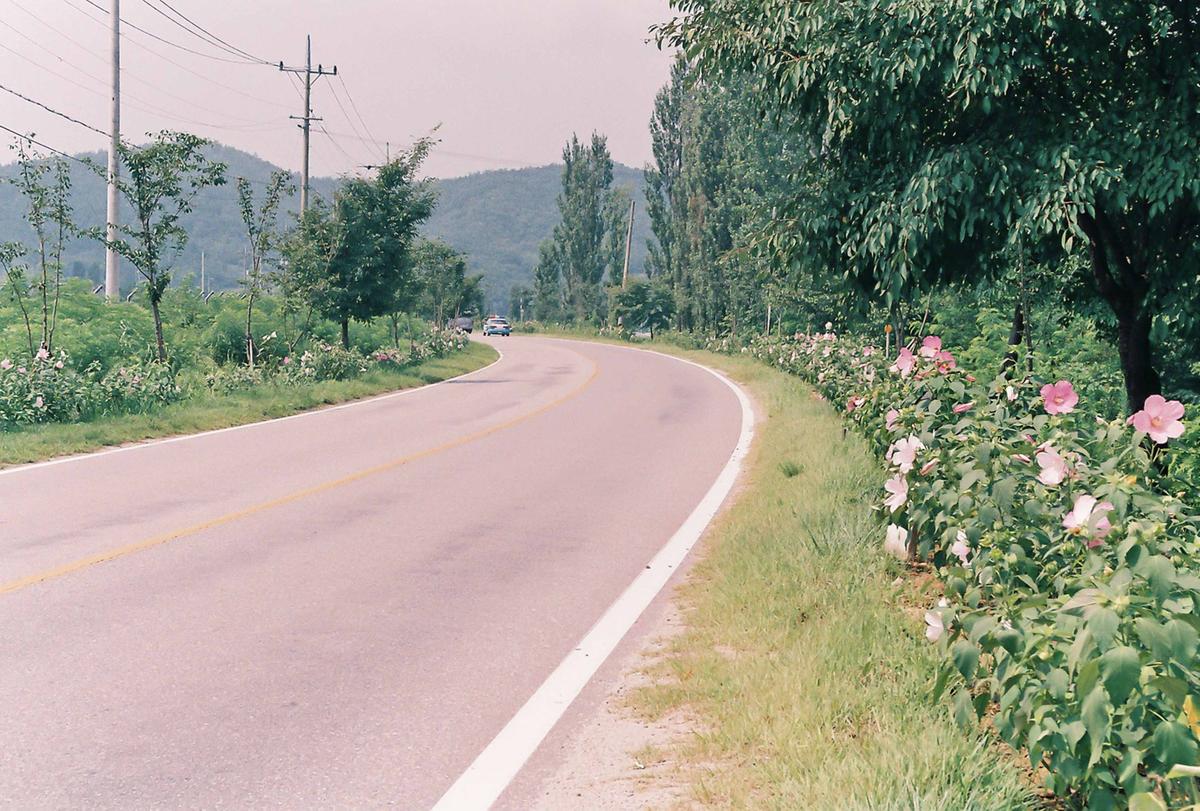 도로조경