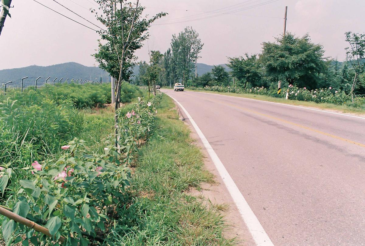 도로조경