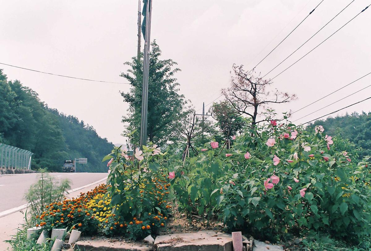 도로조경