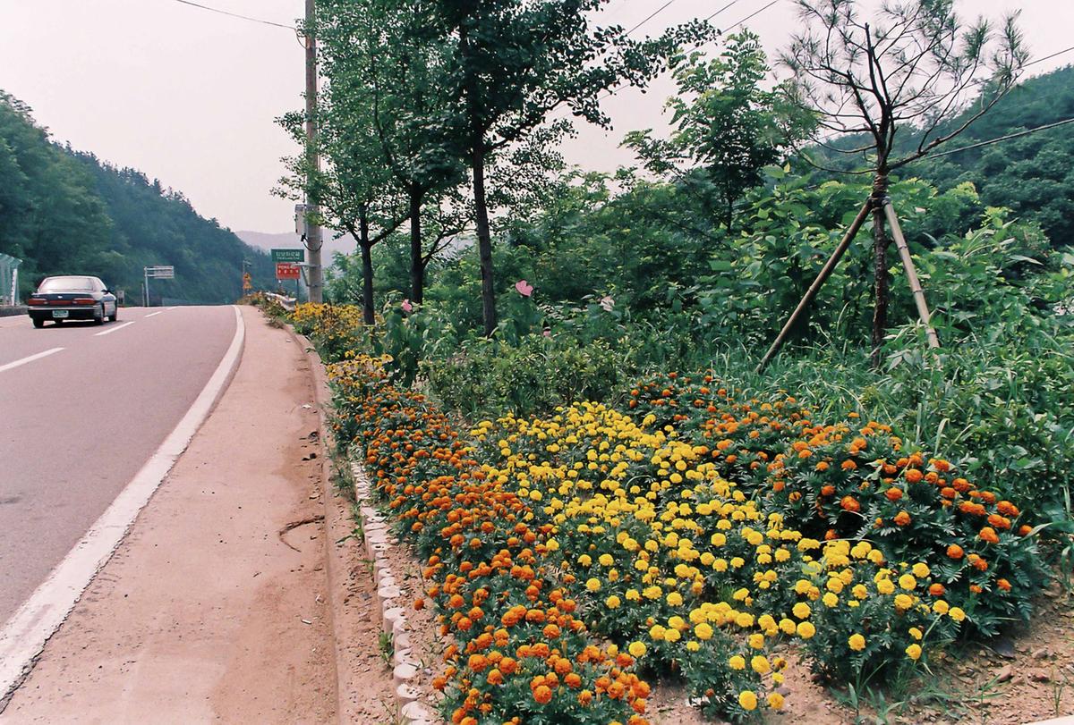 도로조경