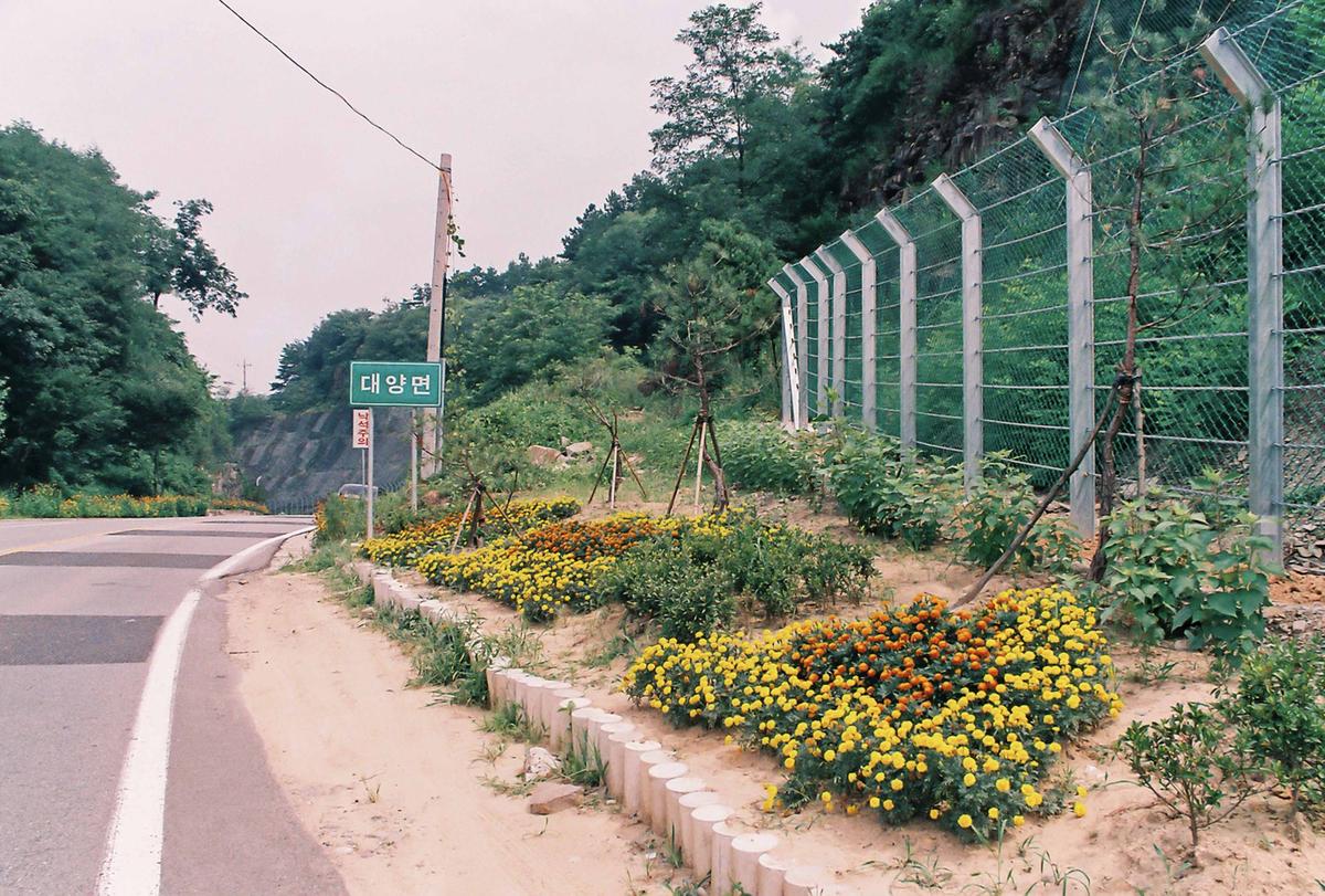 도로조경