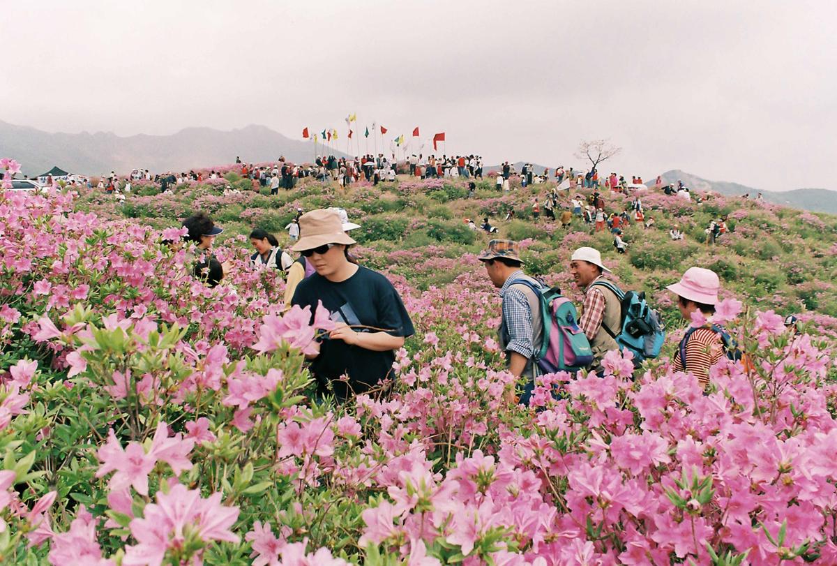 산제
