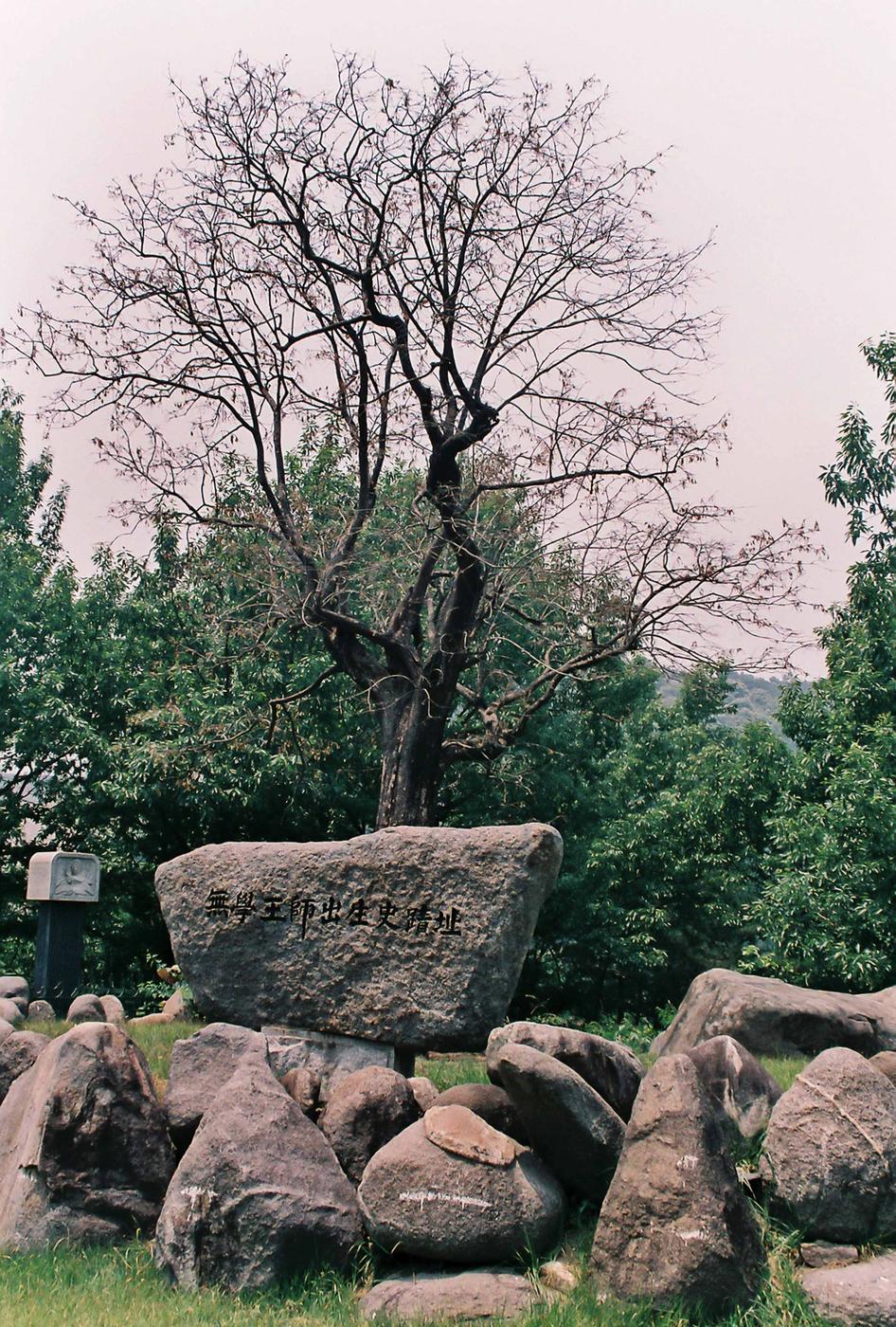 나무보호