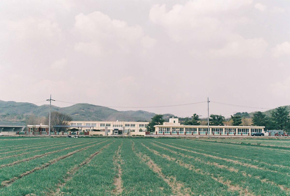 학교