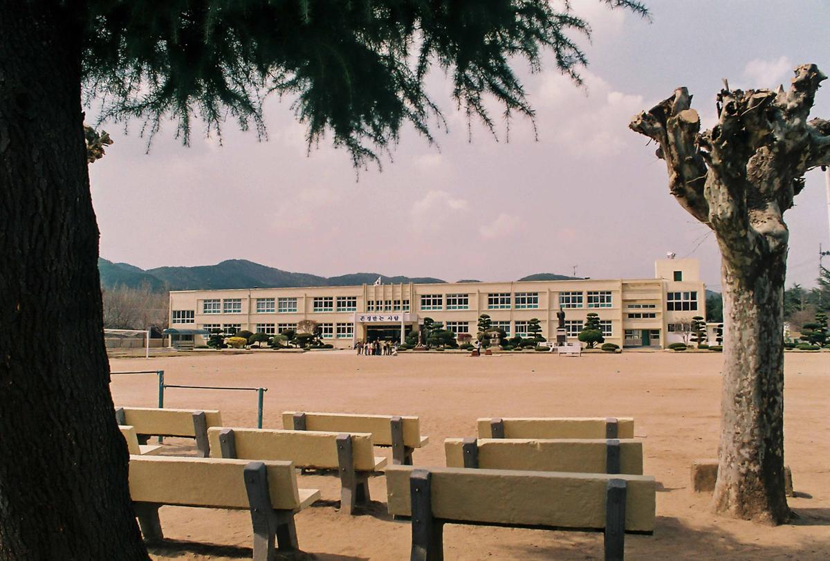 학교
