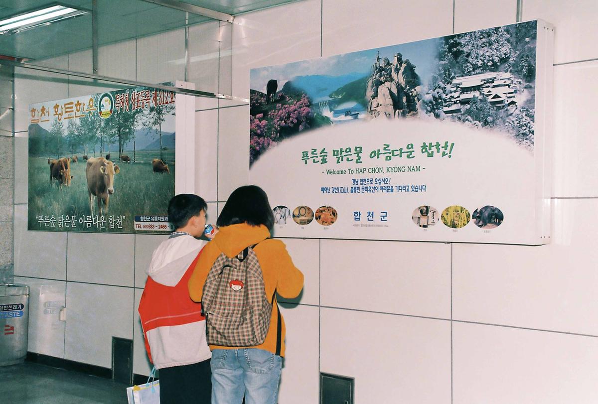 합천홍보물