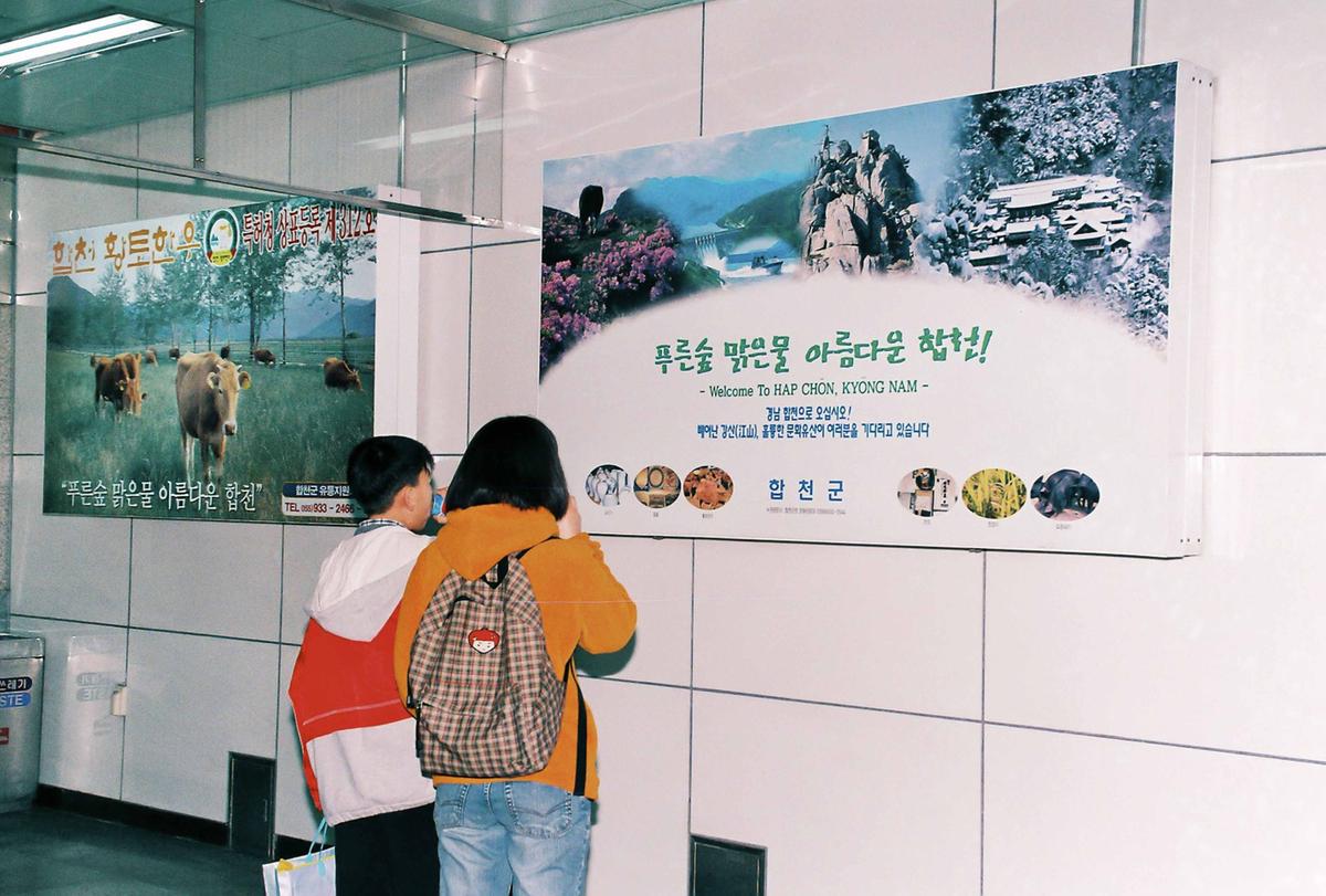 합천홍보물