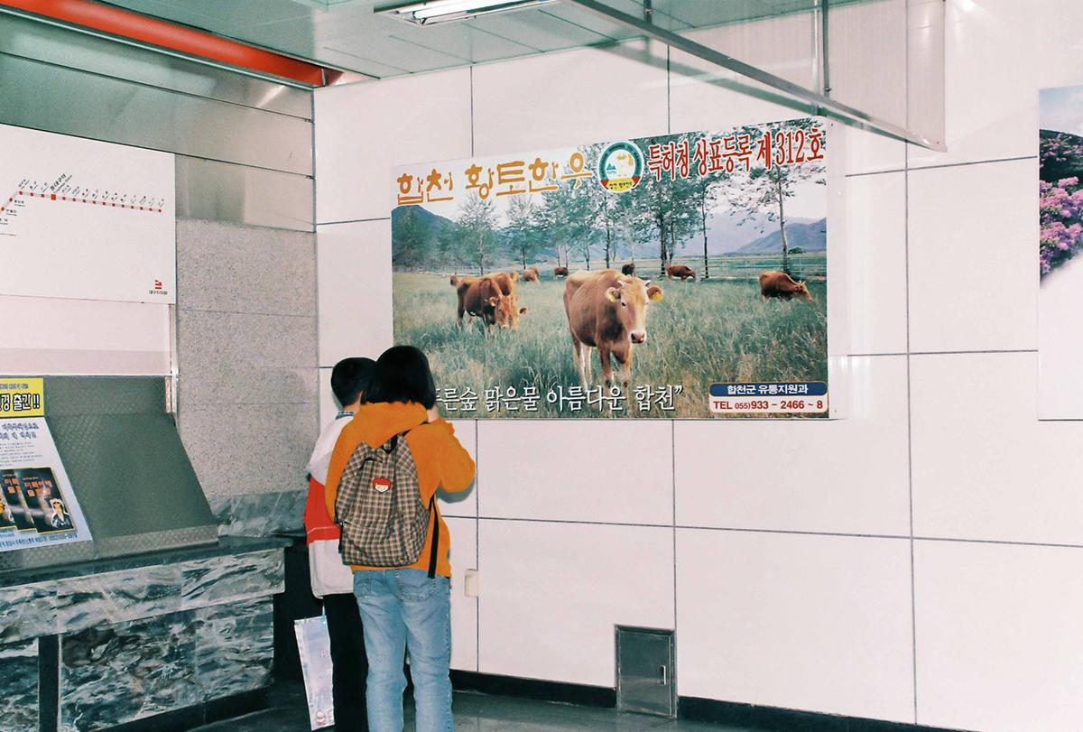 합천홍보물