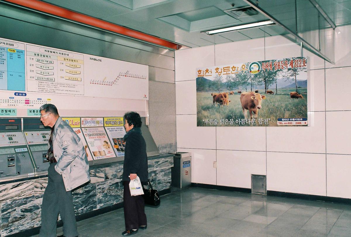 합천홍보물