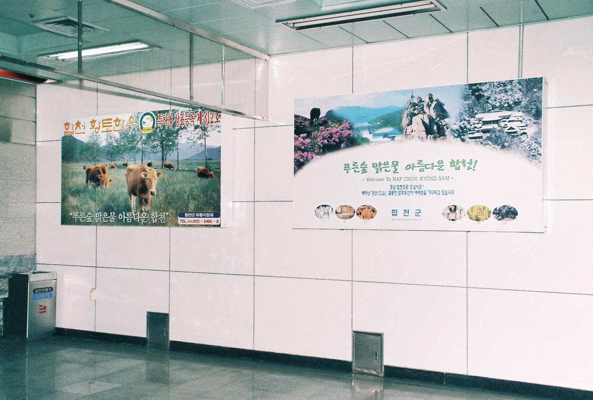 합천홍보물