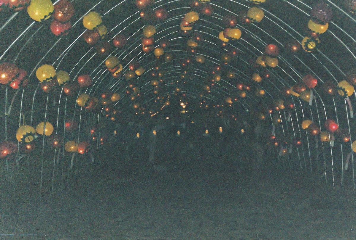 2001 팔만대장경 축제