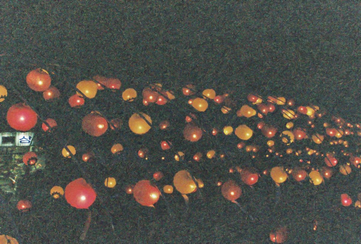 2001 팔만대장경 축제