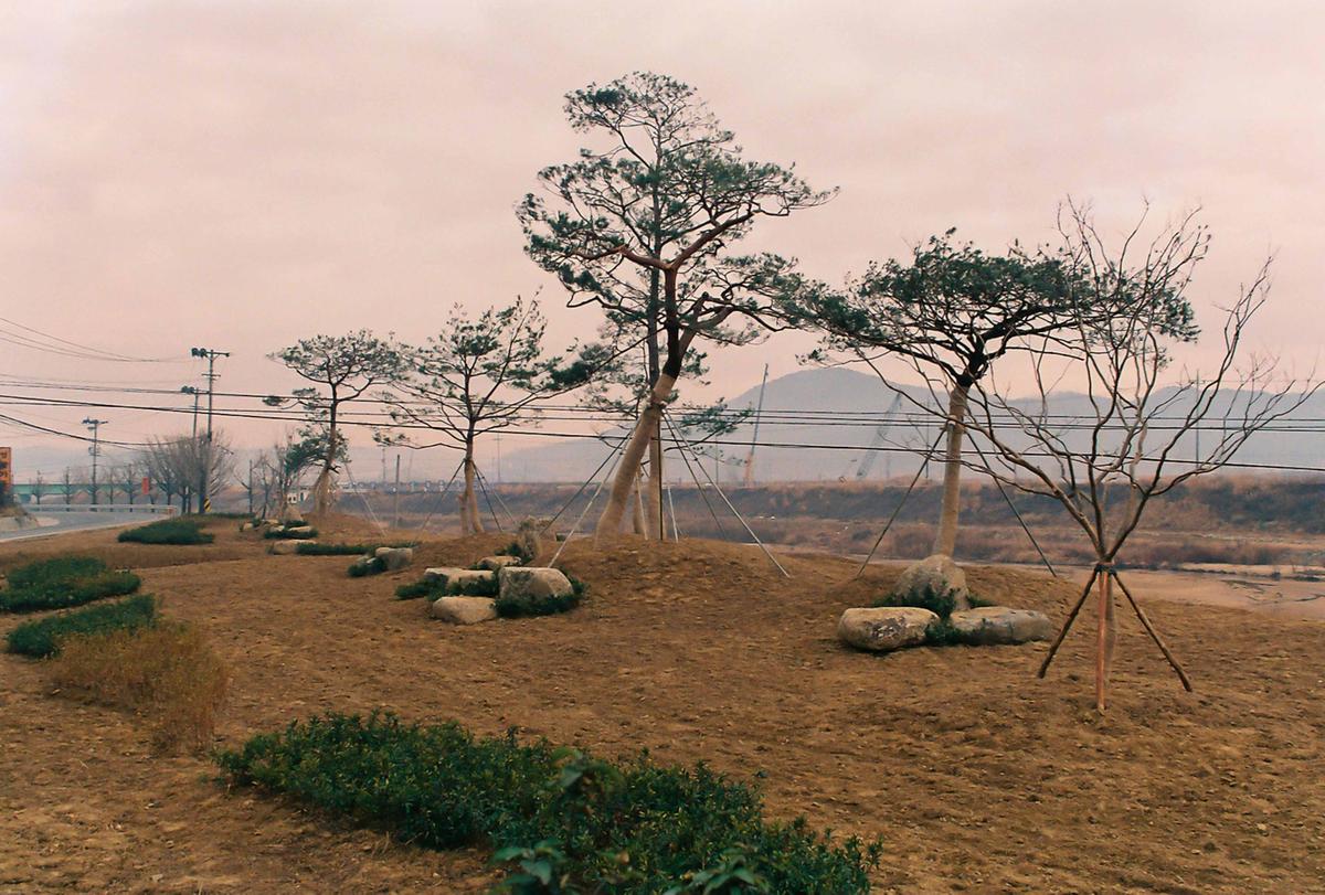 조경사진
