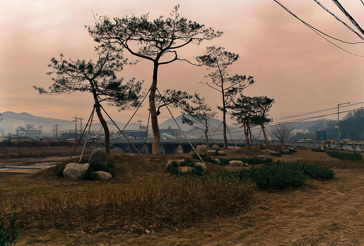 조경사진