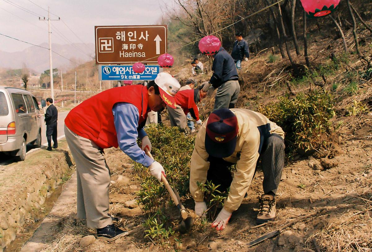 식목일 식수행사