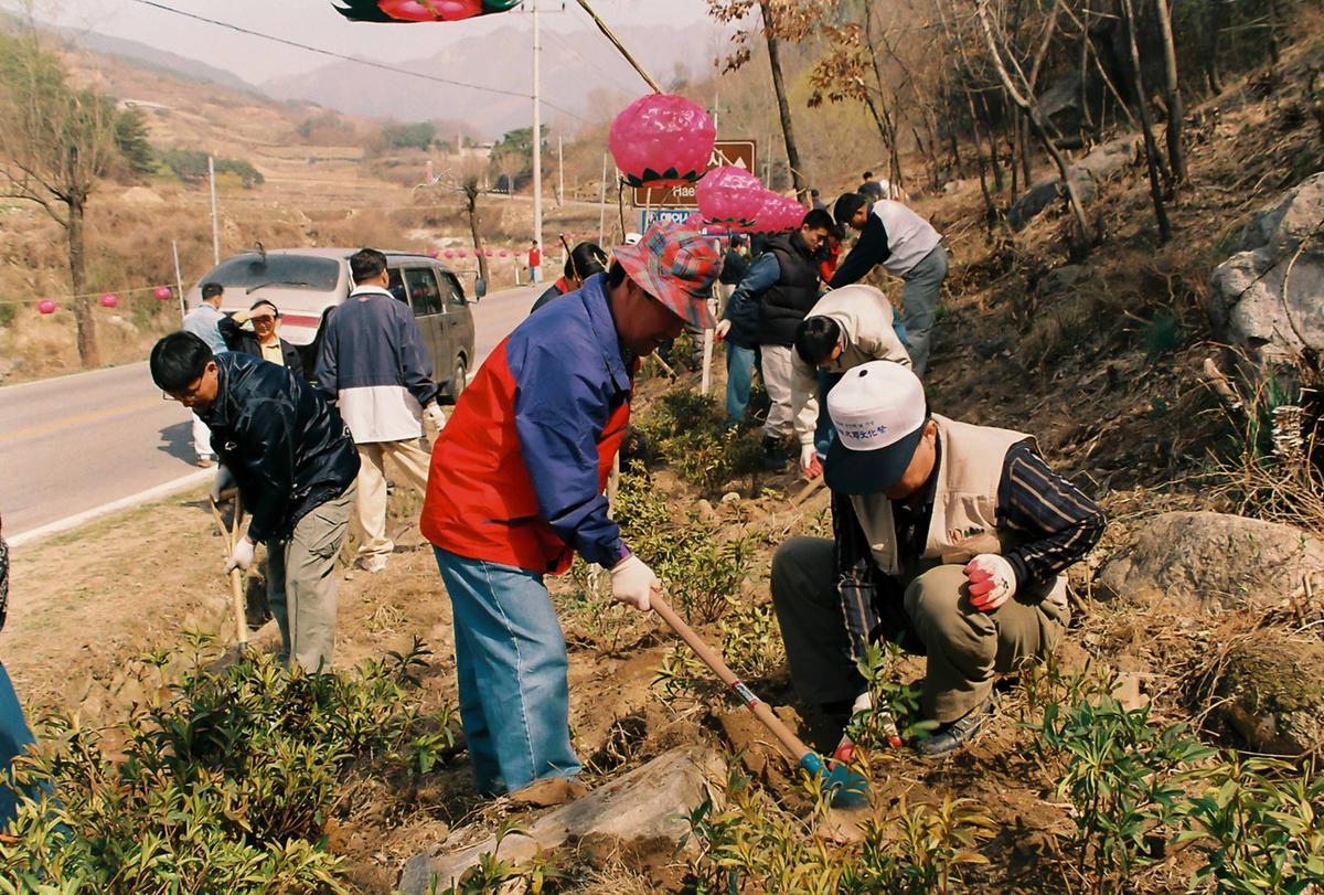 식목일 식수행사