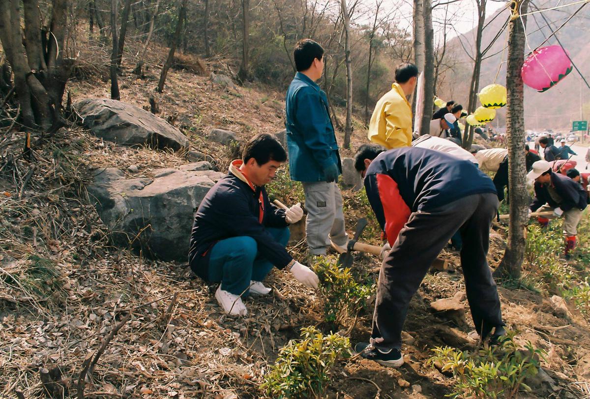 식목일 식수행사