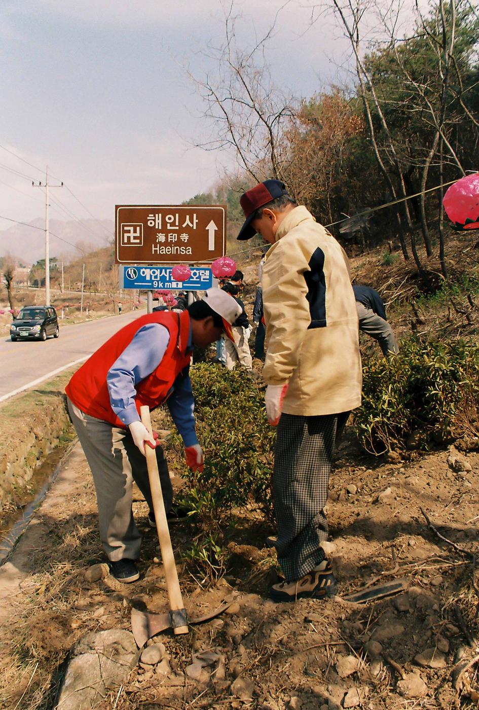 식목일 식수행사