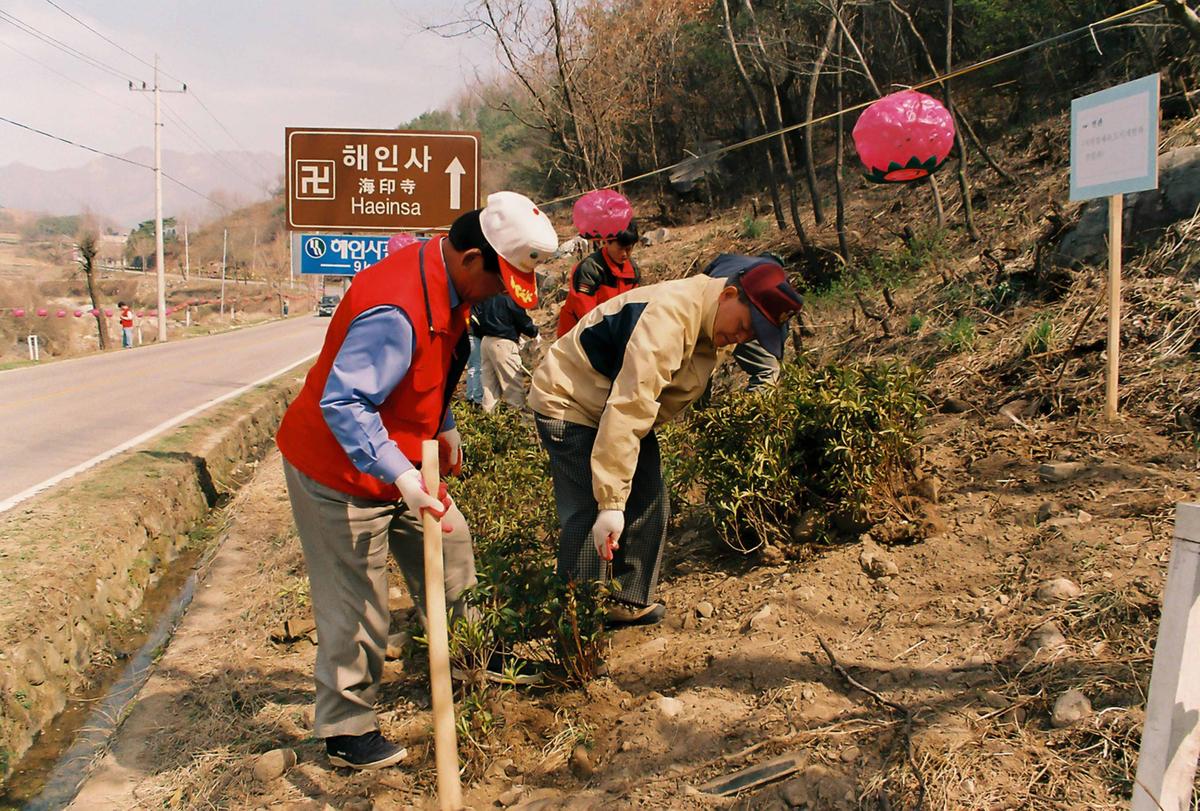 식목일 식수행사