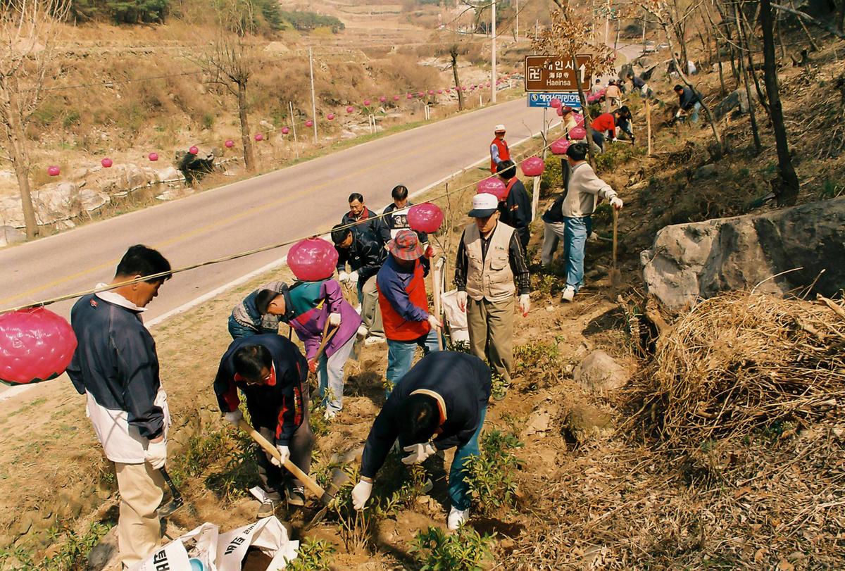 식목일 식수행사