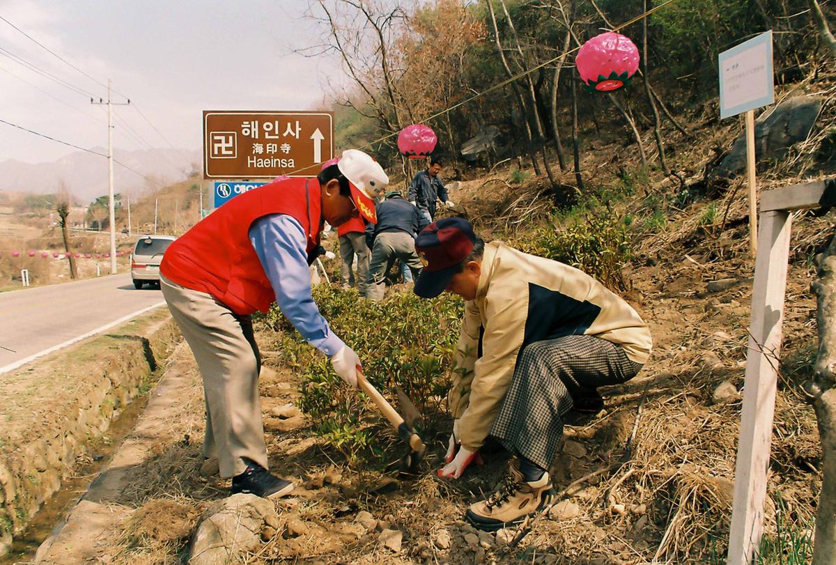 식목일 식수행사