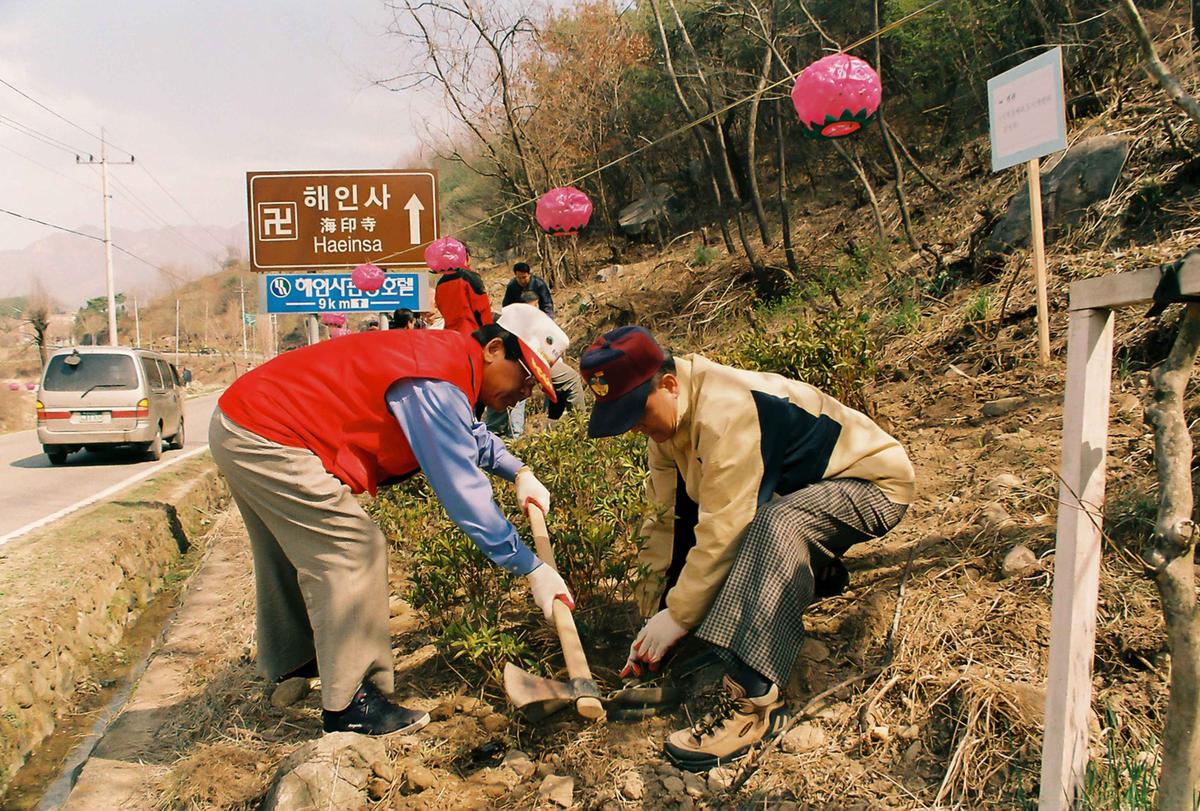 식목일 식수행사