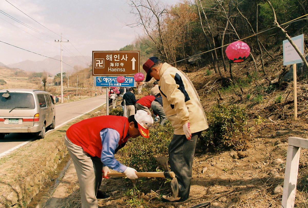식목일 식수행사