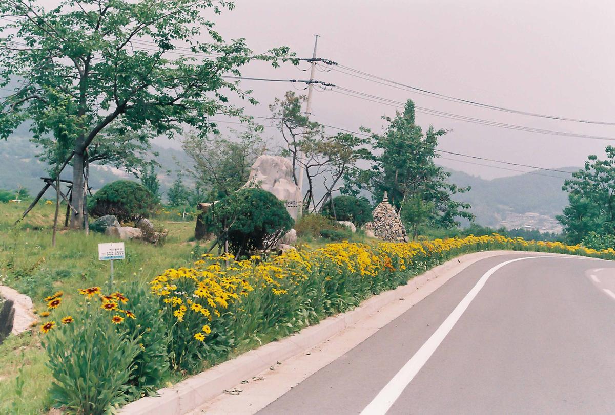 꽃길
