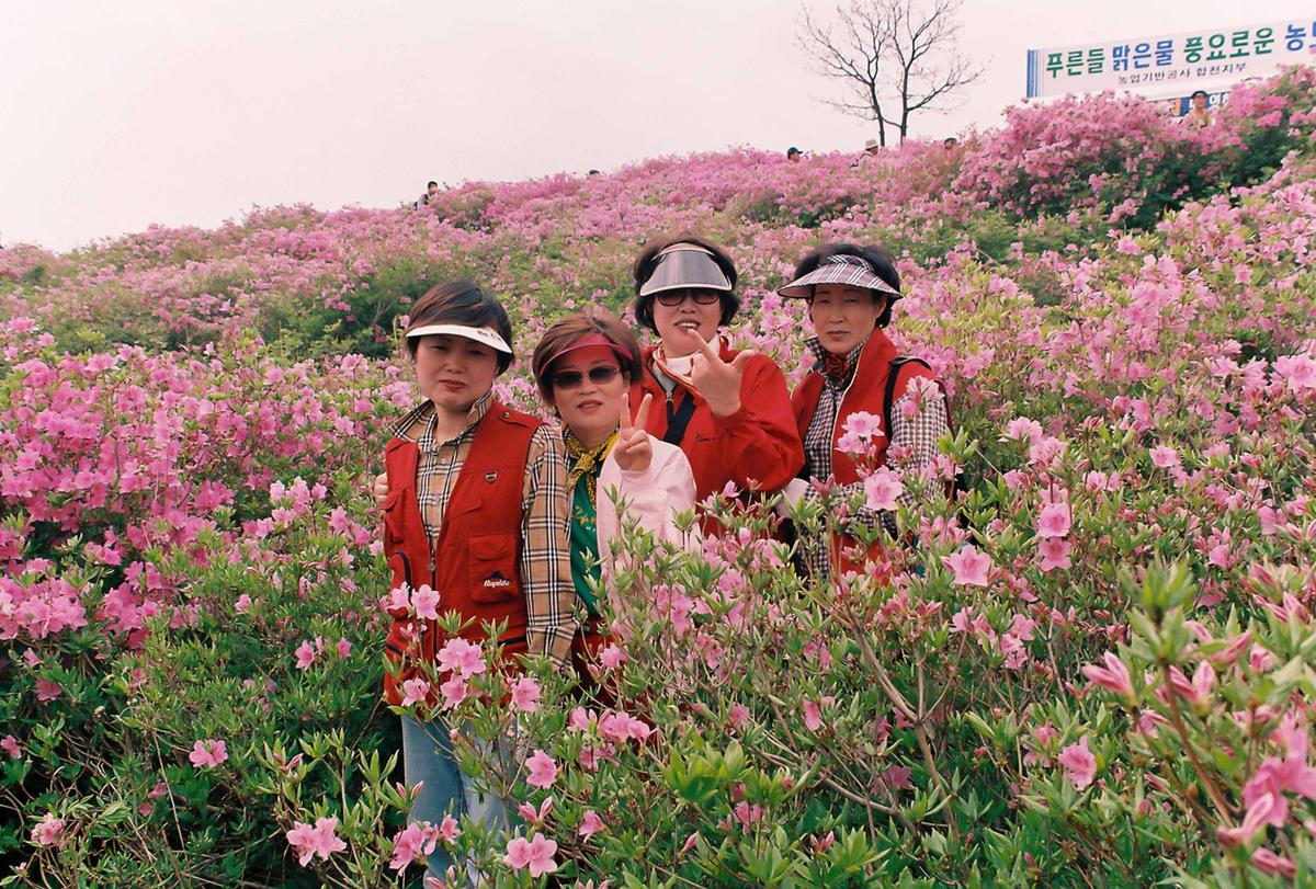 제5회 황매산철쭉제 및 영화주제공원 오픈식