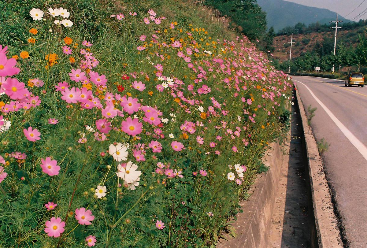 2001 종합이동관선