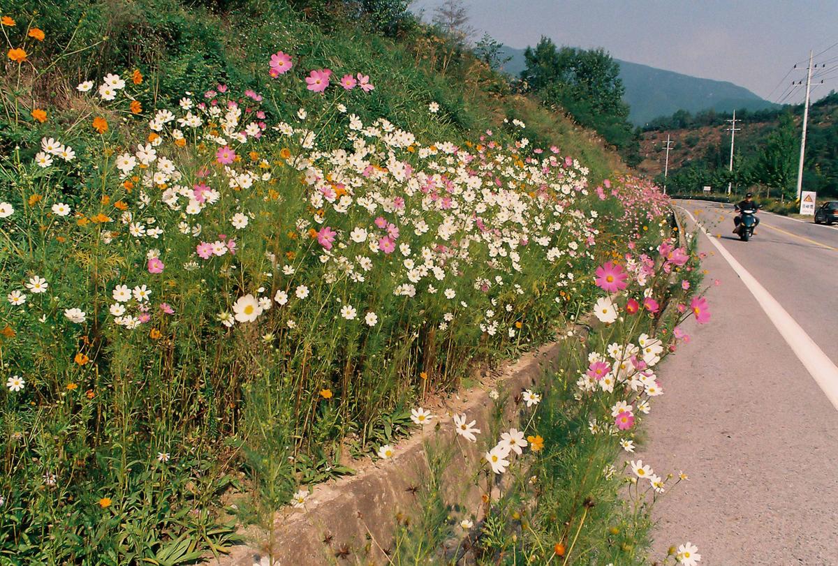 2001 종합이동관선