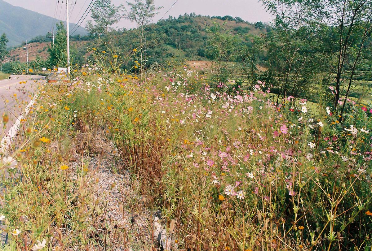 2001 종합이동관선