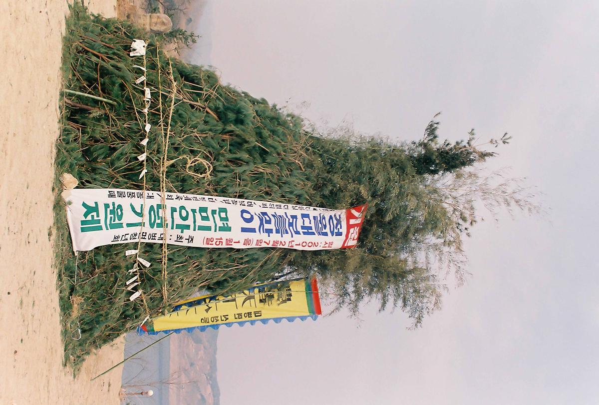 제8회 정월대보름 달집태우기 및 풍년기원제