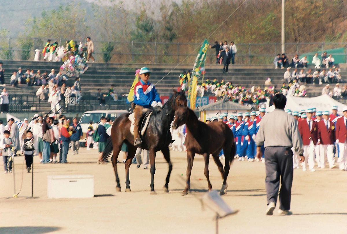 제14회 대야문화제