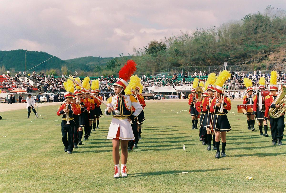 제19회 대야문화제 제21회 군민체육대회