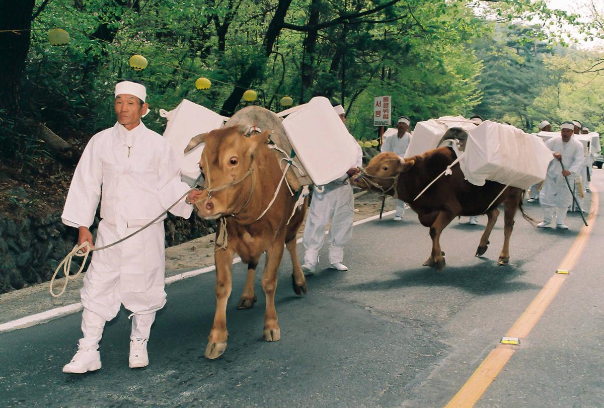 팔만대장경 이운경로 재연