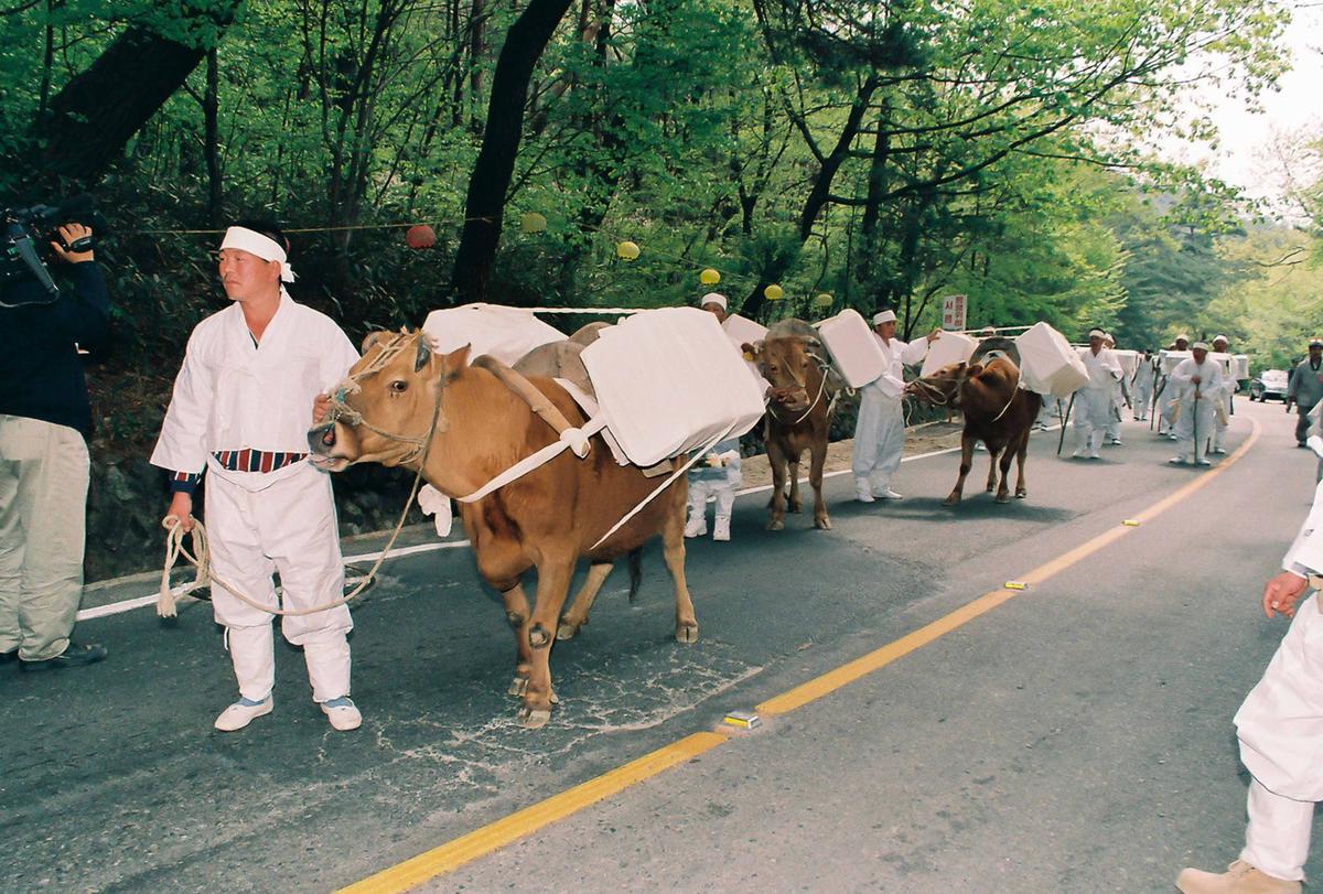 팔만대장경 이운경로 재연