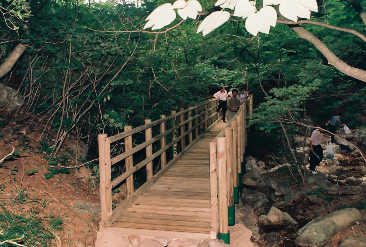 푸른경남을 위한 산지정화