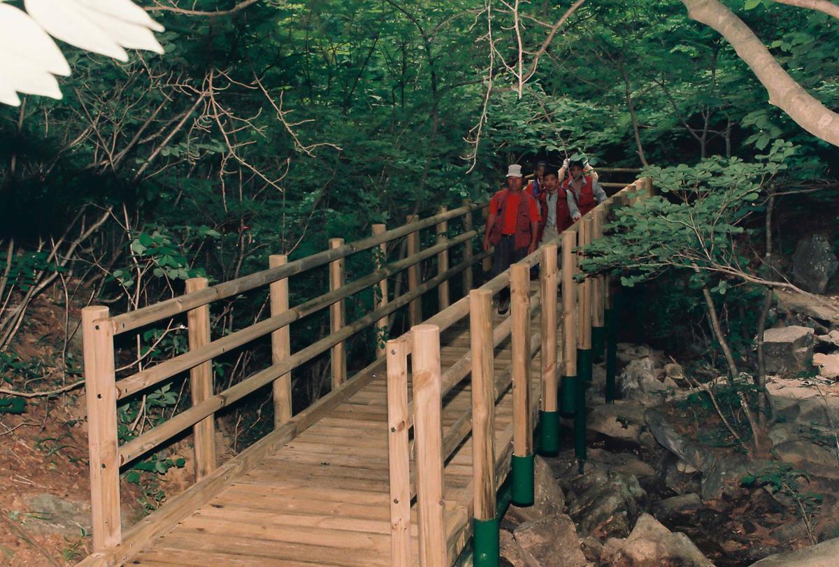 푸른경남을 위한 산지정화
