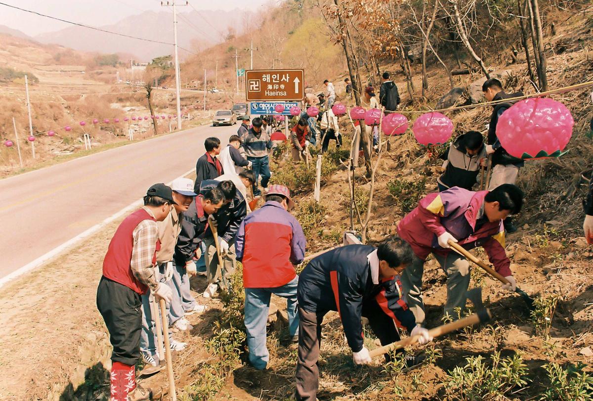 경관사업