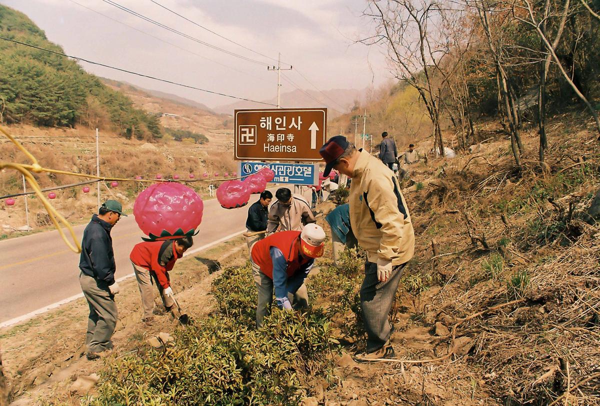 경관사업