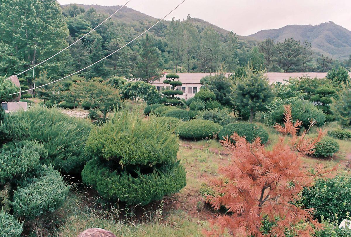 인물
