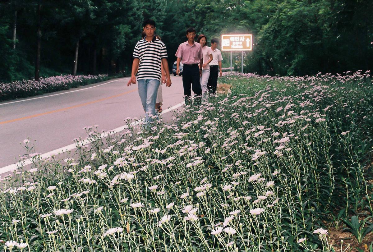 꽃길