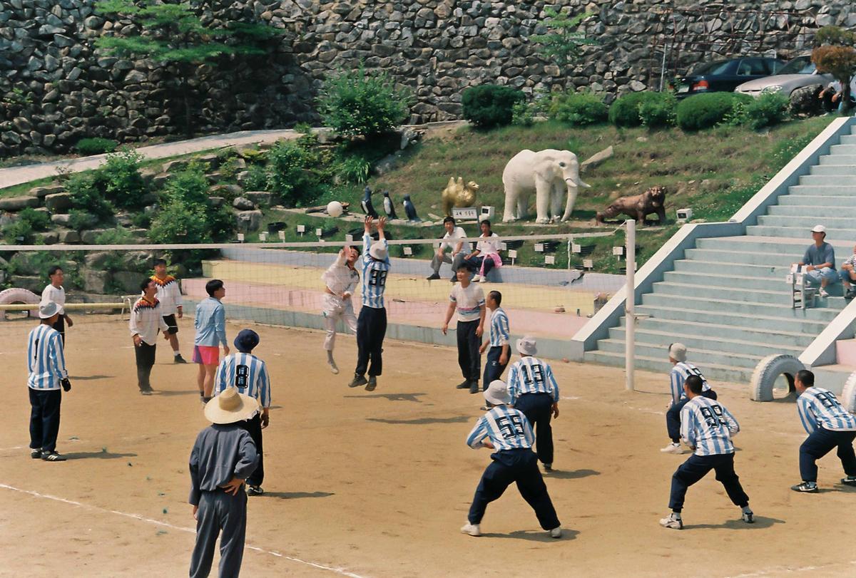 체육활동