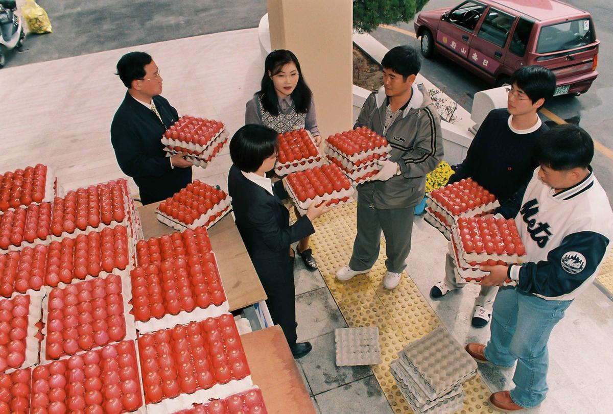 계란기탁